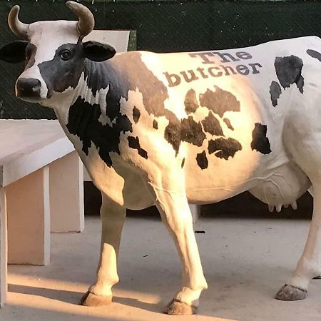 The Butcher-Ducati And Airport Blq Διαμέρισμα Μπολόνια Εξωτερικό φωτογραφία